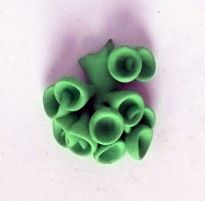 Bud Pin, new addition to Collection, designed by Ann Marie Shillito, 3D printed in polyamide and dyed fresh green.